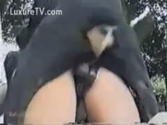 A selection of hardcore dog creampies